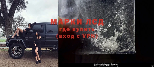 прущие грибы Ахтубинск