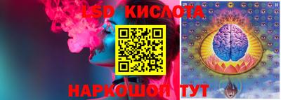 стаф Аргун