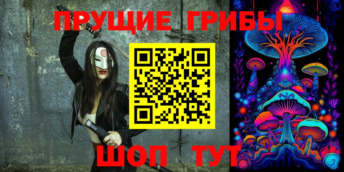 Псилоцибиновые грибы Cubensis Георгиевск