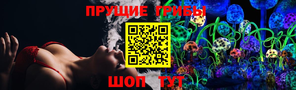 Псилоцибиновые грибы Magic Shrooms  Галлюциногенные грибы GOLDEN TEACHER  Георгиевск  закладка  Вход с VPN 